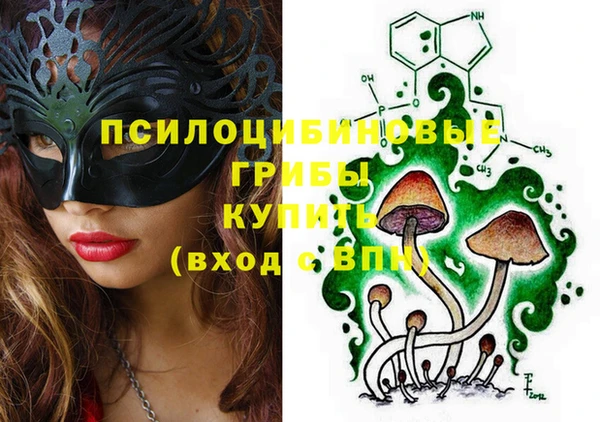 меф Каменск-Шахтинский