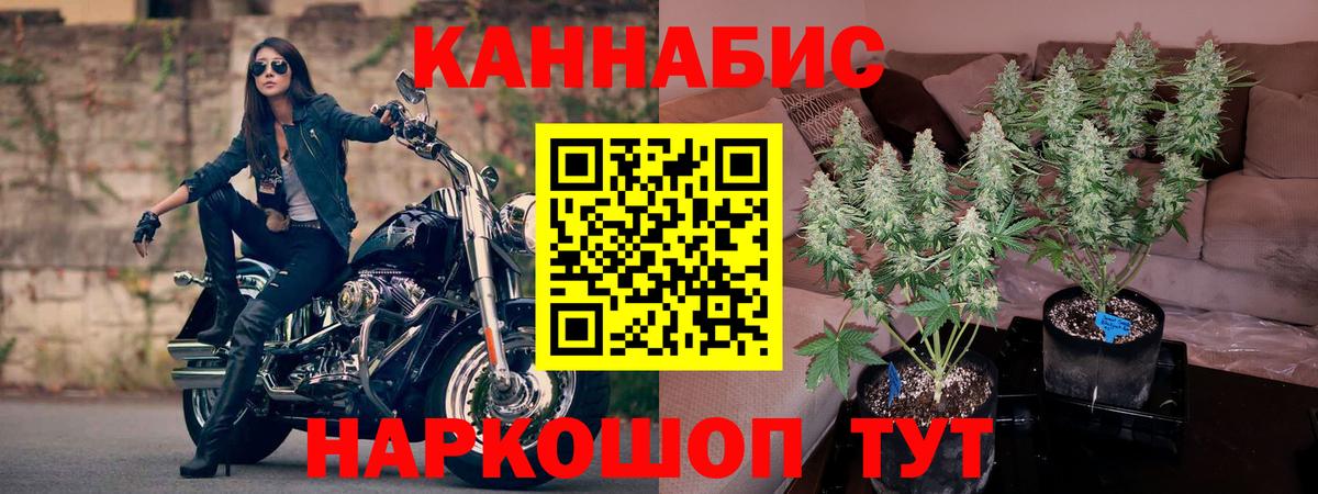 Каннабис SATIVA & INDICA Ревда